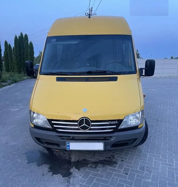 Х/н Mercedes Sprinter 901 2003-2006 накл. на решітку 6шт. (TAN24) Хром-нерж 00-00011269 фото